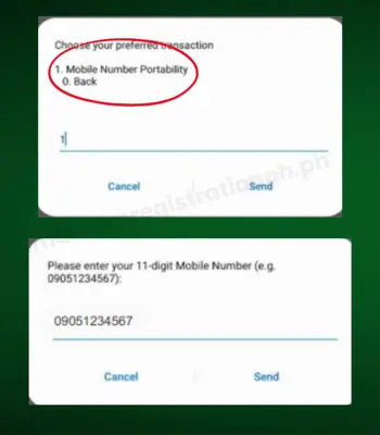 How to Activate Smart SIM: Complete Guide for Prepaid and Postpaid Users 5 smart sim activation using USSD Code step 3&4